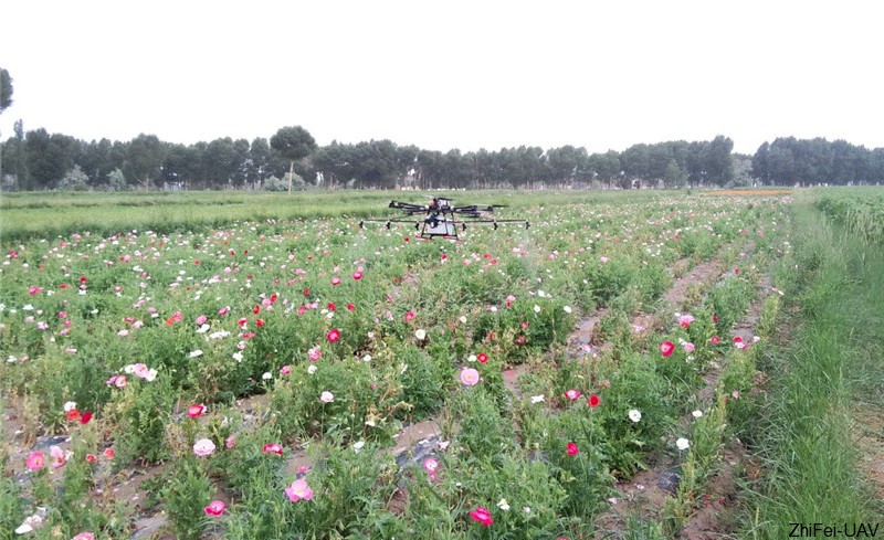 1500431860614605.jpg 14.jpg