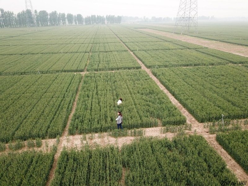1526269213981034.jpg 河北智飛極農無人機科技|一鳶科技|行業定制無人機