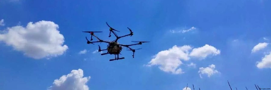 內(nèi)蒙古玉米紅蜘蛛蟲(chóng)害大爆發(fā) 農(nóng)民從此相信無(wú)人機(jī)！