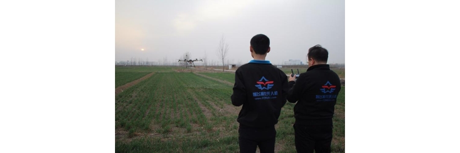 UAV Precision Plant Protection Flight Defense Service